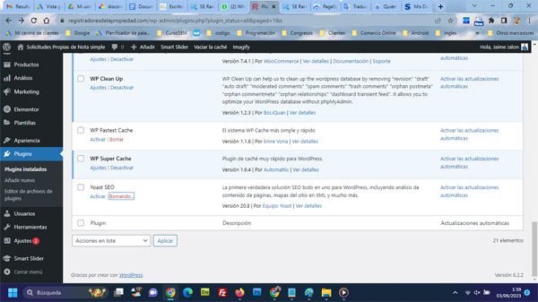 eliminar Yoast plugin que no me gusta